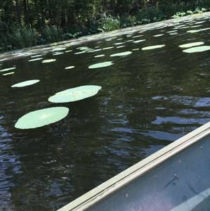 Meet your Posher, Noah